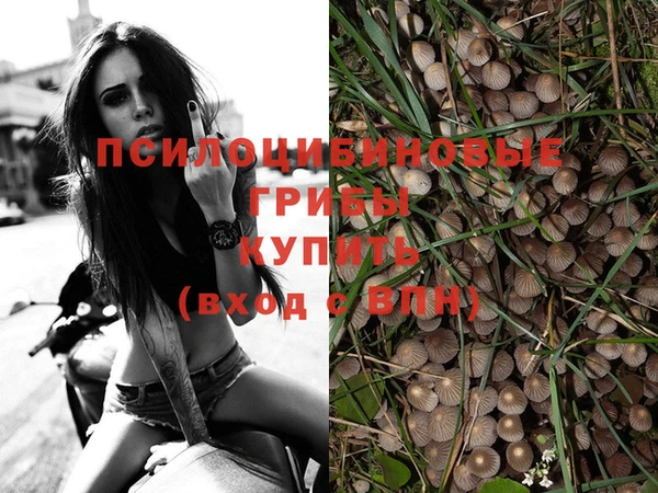 гашиш Балахна