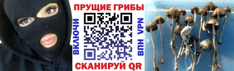 Псилоцибиновые грибы мухоморы hydra ТОР Короча